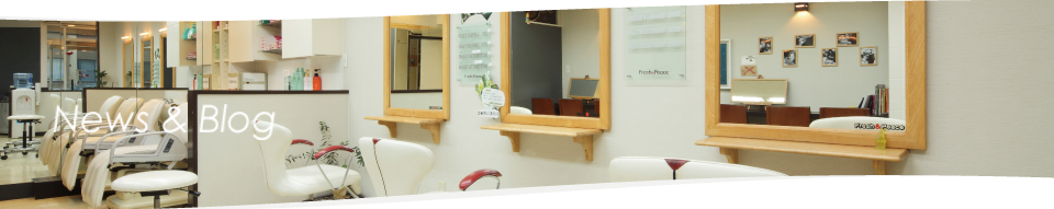 ニュース&ブログ